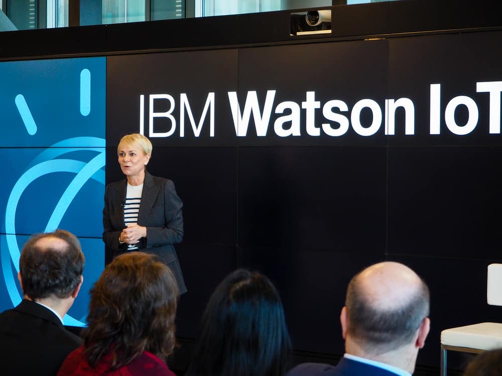 IBM Invests in AI