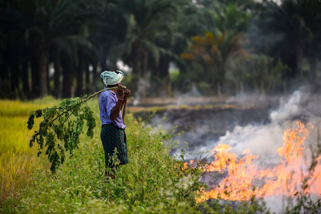 top artificial intelligence companies - Blue Sky Analytics' Zuri against stubble burning