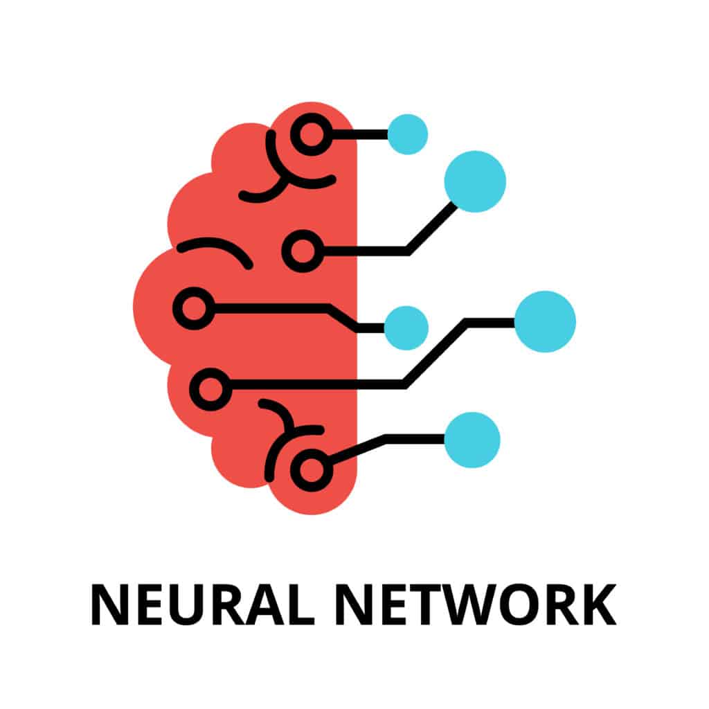 Neural network imaged off of human brain