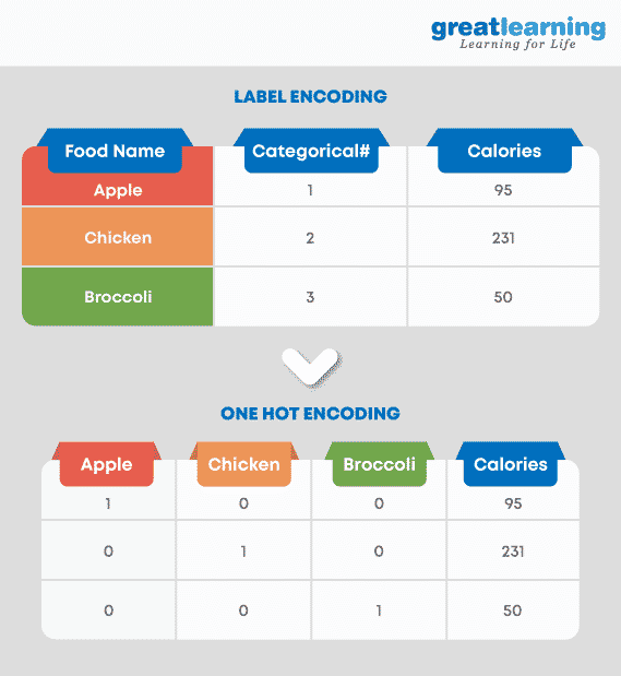 One-hot encoding and Label Encoding