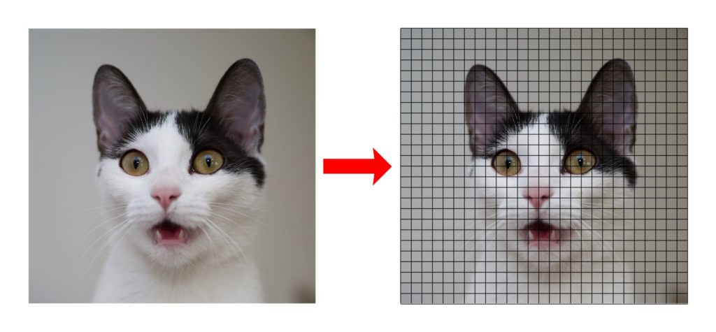 Object detection using TensorFlow