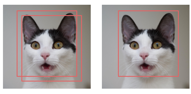 YOLO object detection