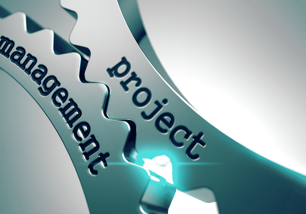 What is project management