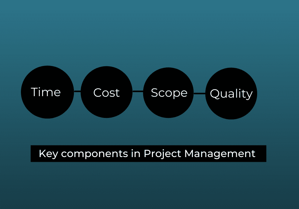 What is Project management