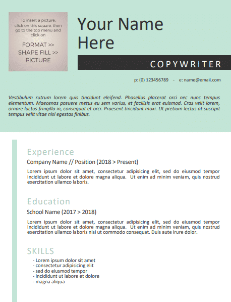 Resume template