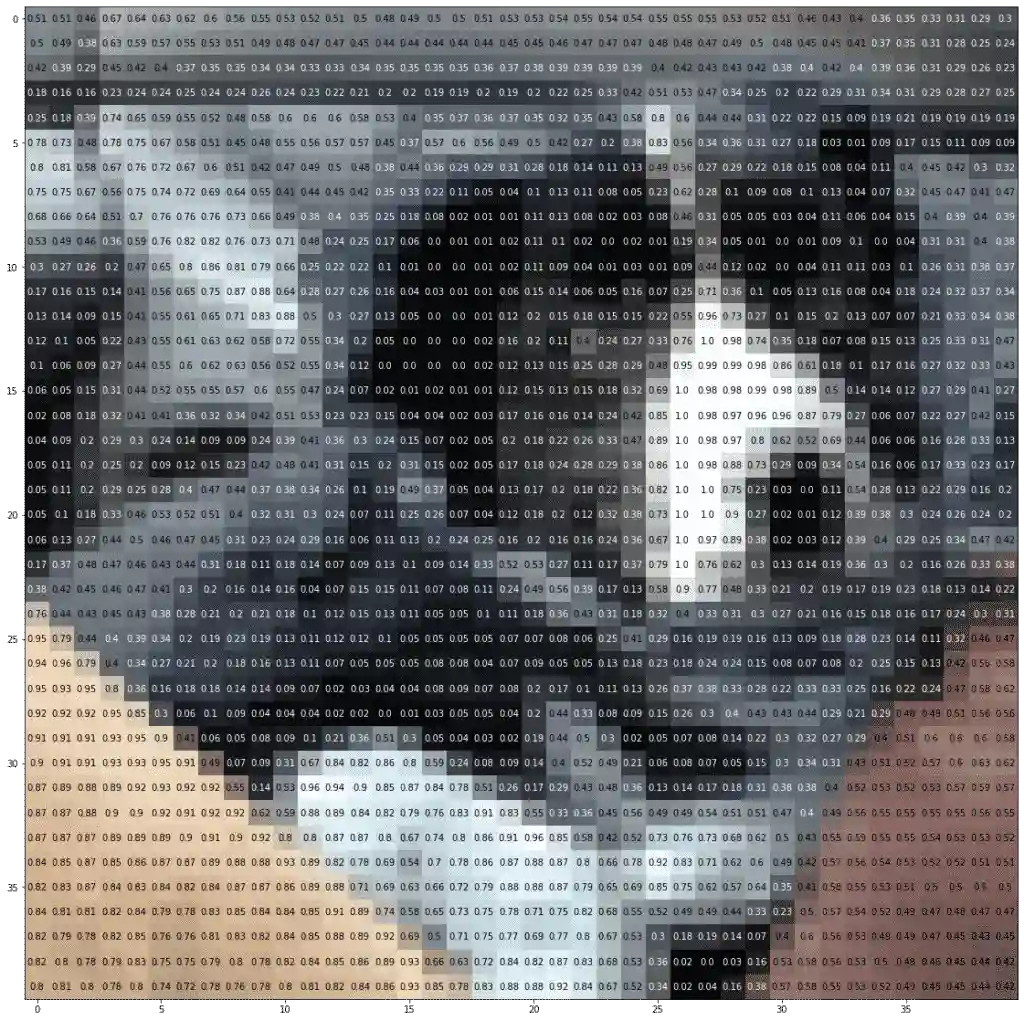 An image of a dog represented by 40 x 40 pixels.