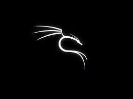 Kali Linux Download: How To Install Kali Linux?