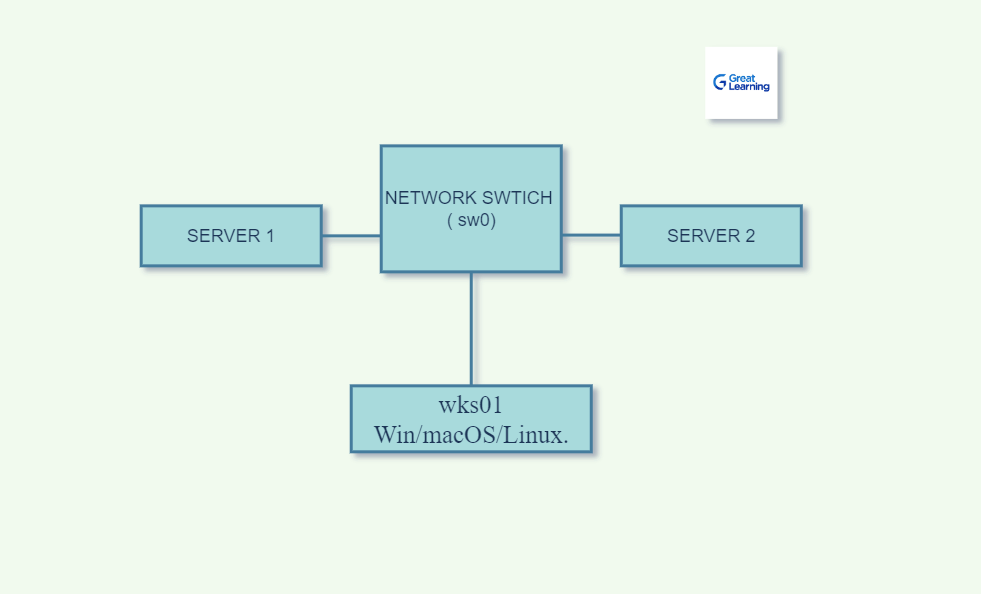 Nmap Commands