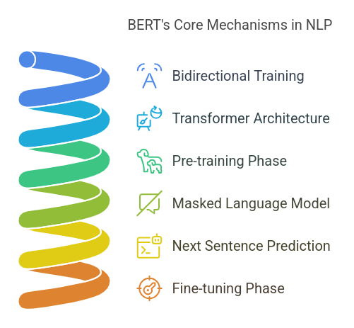 Working Model of BERT