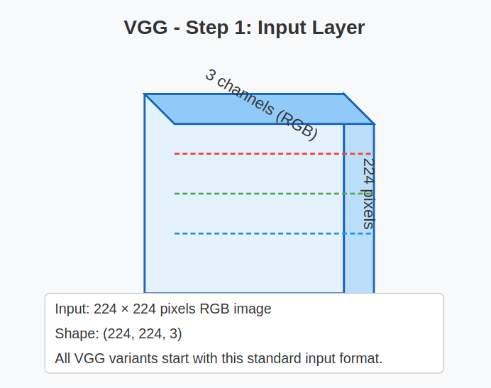 VGG Architecture Input Layer