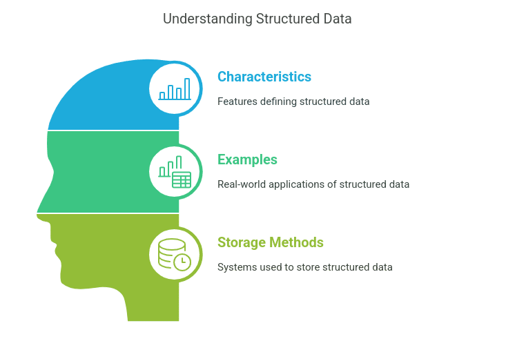 What is Structured Data?