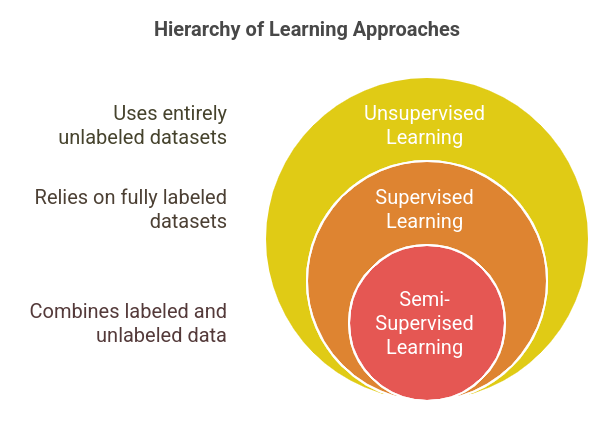 What Is Semi-Supervised Learning?